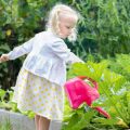 Kräuter entdecken: Mit Kindern duftende Beete anlegen und nutzen