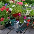 Regenwasserspeicher im Schrebergarten: Planung und Umsetzung nach deutschen Vorschriften