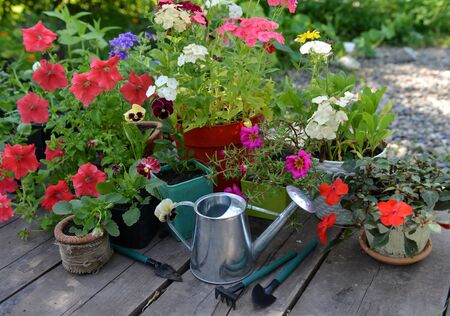 Regenwasserspeicher im Schrebergarten: Planung und Umsetzung nach deutschen Vorschriften