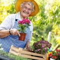 Solitärsträucher als Gartenmittepunkt: Gestaltungsideen aus der deutschen Gartengestaltung