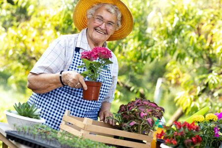 Solitärsträucher als Gartenmittepunkt: Gestaltungsideen aus der deutschen Gartengestaltung