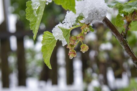 Winterfeste Bewässerungslösungen für den Balkon: Gut vorbereitet durch die kalte Jahreszeit