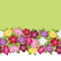 Mischkulturen mit Stauden und Sträuchern: Natürliche Gartenbilder gestalten