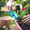 Rückblick und Planung: Das Gartenjahr auswerten und die nächste Saison strukturieren