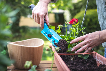 Rückblick und Planung: Das Gartenjahr auswerten und die nächste Saison strukturieren