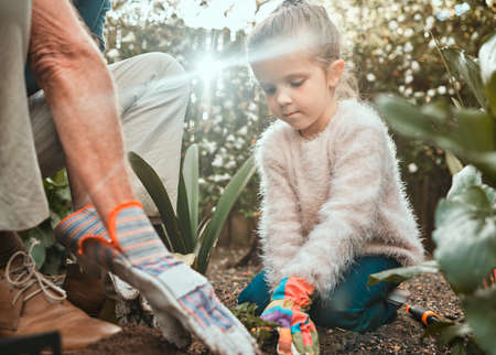 Bio-Gemüse mit Kindern: Nachhaltige und ökologische Praktiken für kleine Gärtner