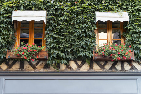 Ziergräser und Strukturpflanzen: Moderne Akzente auf Balkon und Terrasse