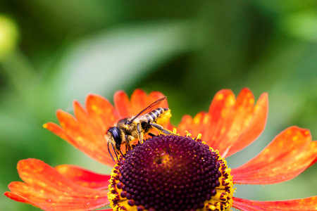 Insektenhotels, Komposthaufen & Co.: Umweltschutz praktisch im Gemüsegarten erleben