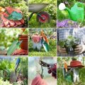 Wege für den Bauerngarten: Tradition und Praxis im ländlichen Raum Deutschlands