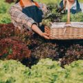 Gestaltungsideen: Wasserelemente kombinieren mit Gartenbeleuchtung und Kunstobjekten