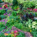 Gartenfest und Dekoration: Saisonale Deko-Ideen für besondere Anlässe