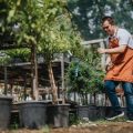 Esskultur im Kleingarten: Vom Apfelbaum zum Grillfest – Kulinarische Traditionen