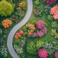 Heimische Gehölze vs. Exoten: Ressourceneffiziente Pflanzenauswahl im Klimawandel