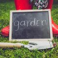 Digitale Tools für die Organisation von Gartenfesten und Gemeinschaftsgärten