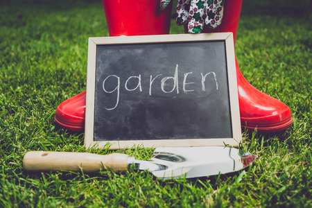 Digitale Tools für die Organisation von Gartenfesten und Gemeinschaftsgärten
