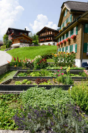 Historische Gartenabgrenzungen in Deutschland: Von traditionellen Mauern zu modernen Varianten