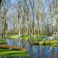 Gartenreisen durch Deutschland: Die wichtigsten Routen und sehenswertesten Parks