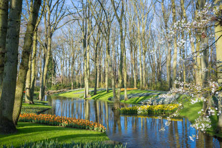 Gartenreisen durch Deutschland: Die wichtigsten Routen und sehenswertesten Parks
