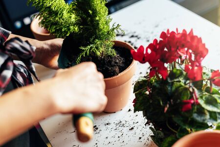 Selbstversorgung durch Permakultur: Gemüse, Kräuter und Obst nachhaltig anbauen