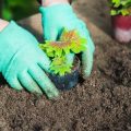 Regensammler und Regenklappen: Effektive Anbindung an die Dachrinne