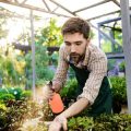 Installation und Wartung von Solarleuchten: Tipps und Tricks für Heimwerker