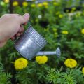 Boden vorbereiten: Kindgerechte Methoden zur Bodenlockerung, Düngung und Kompostierung