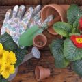 Biologische Nützlinge: Marienkäfer, Florfliegen & Co. im Kampf gegen Schädlinge