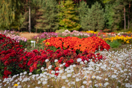 Pflegekalender für ganzjährige Gartenbewässerung: Monatliche Tipps für deutsche Gartenbesitzer