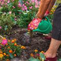 Smart Gardening: Digitalisierung in der Gartenbewässerung und Regenwassernutzung