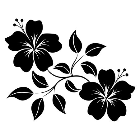 Sommerpflege: Effizientes Gießen in heißen Monaten