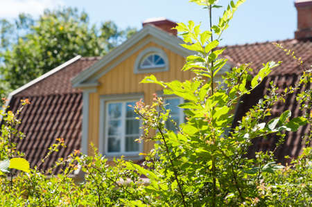 Blühflächen als Lebensraum für Vögel, Kleinsäuger und Insekten: Vernetzte Lebensräume schaffen