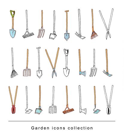 Artenvielfalt fördern: Typische Bewohner und Zusammenleben im Biotop